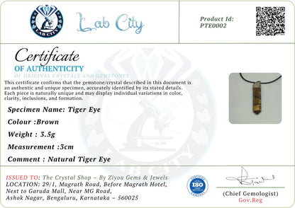 Natural Tiger Eye Pendant for Men & Women | Crystal Jewellery | Ziyou Gems & Jewels